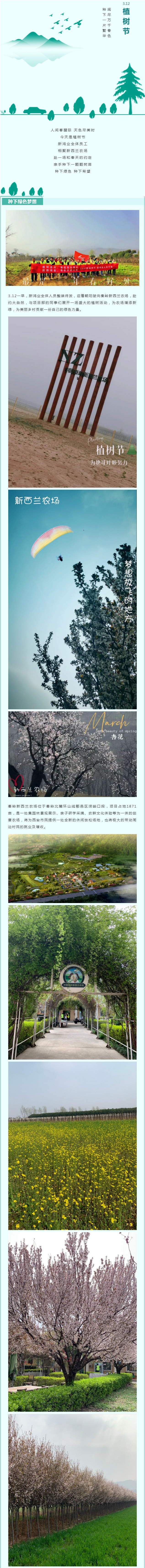 植树节:赴约自然 播种希望 相聚新西兰农场